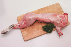 Как вырастить кролика на мясо